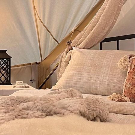 Shenandoah Valley Glamping - Amazing Views - Farm Edinburg Exterior foto