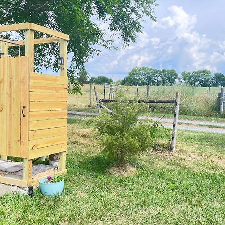 Shenandoah Valley Glamping - Amazing Views - Farm Edinburg Exterior foto