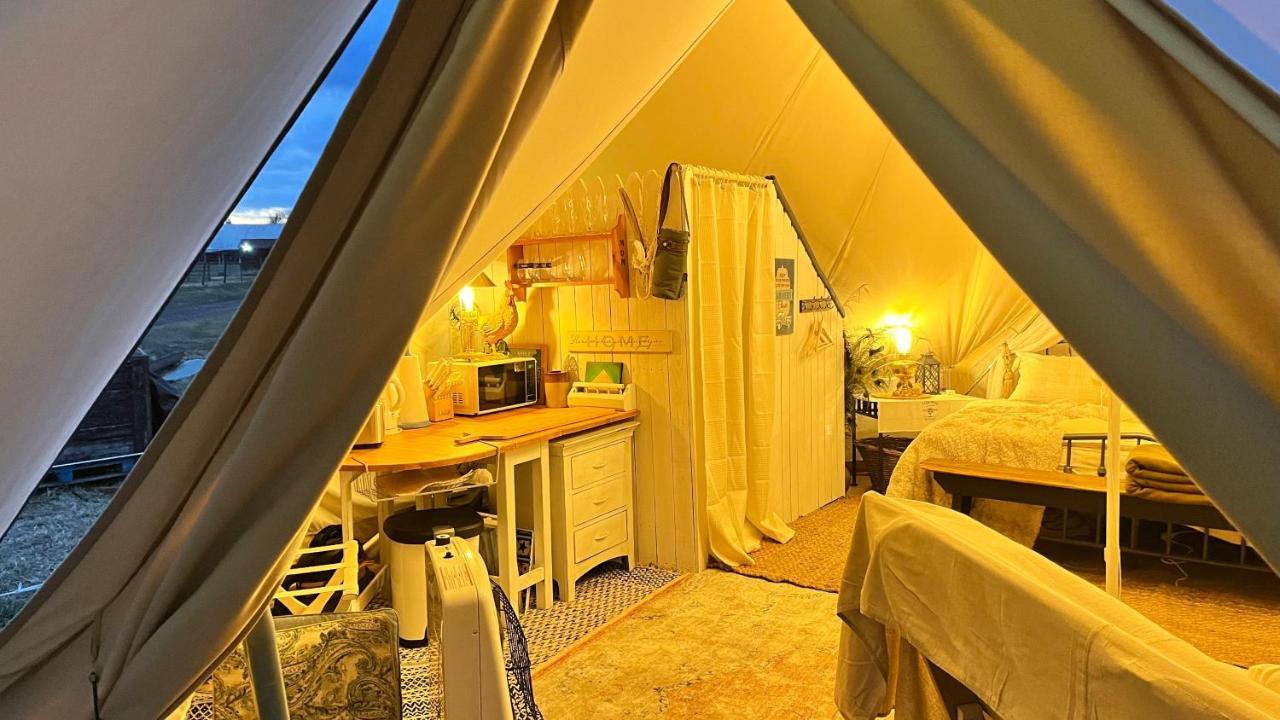 Shenandoah Valley Glamping - Amazing Views - Farm Edinburg Exterior foto